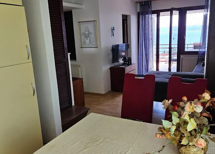 Apartments With Heated Outdoor Swimming Pool 9X4M * Selce